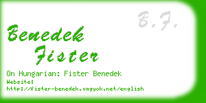 benedek fister business card